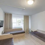 Ktu Politechnika Albergue *