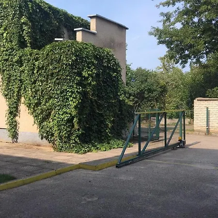 Ktu Politechnika Паланга